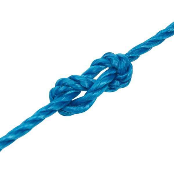 Corda Da Lavoro Blu 6 Mm 250 M In Polipropilene - Image 5