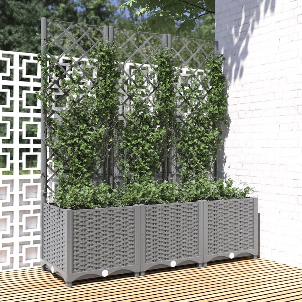Fioriera Giardino Con Graticcio Grigio Chiaro 120x40x136cm pp