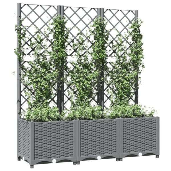 Fioriera Giardino Con Graticcio Grigio Chiaro 120x40x136cm pp - Image 3