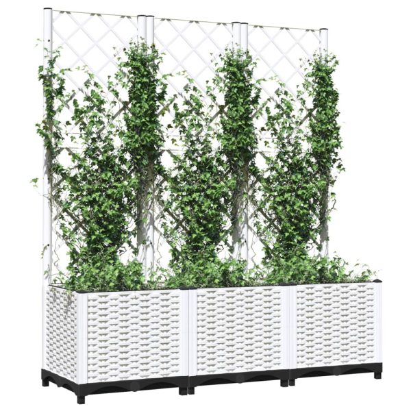 Fioriera Da Giardino Con Graticcio Bianco 120x40x136 Cm pp - Image 3