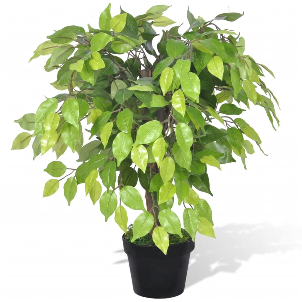 Ficus Nano Artificiale Con Vaso 60 cm