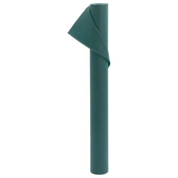 Copertura Per Piante 2 Rotoli 70 G/m² 10x1,6 M - Image 3