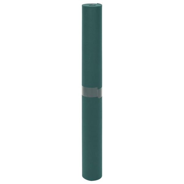Copertura Per Piante 2 Rotoli 70 G/m² 10x1,6 M - Image 4