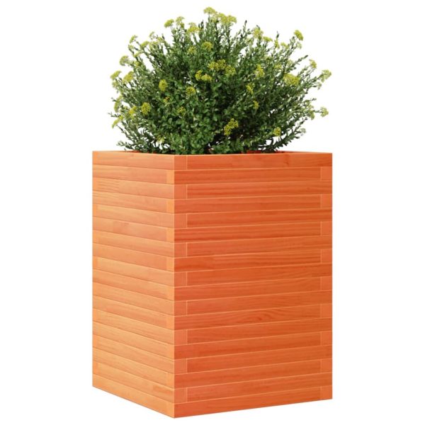 Fioriera Giardino Marrone Cera 50x50x68,5cm Legno Massello Pino - Image 4
