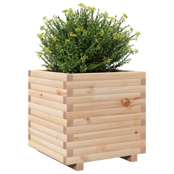 Fioriera Da Giardino 50x50x49,5 Cm In Legno Massello Di Pino - Image 4