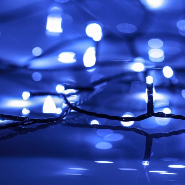 Stringa Led Con 1000 Luci Led Blu 100 M Pvc - Image 4