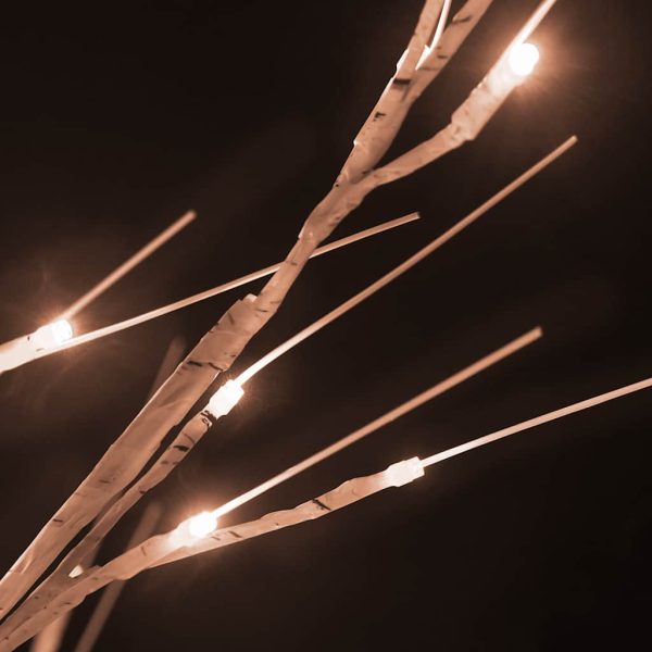 Betulla Con Led Bianco Caldo 96 Led 180 cm - Image 4