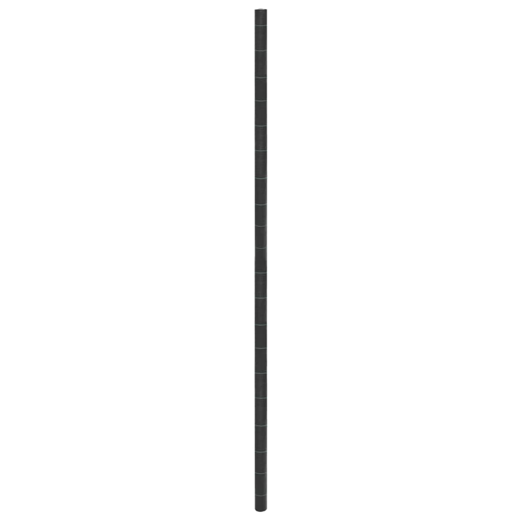 Membrana Antierbacce Nera 4x25 M In pp